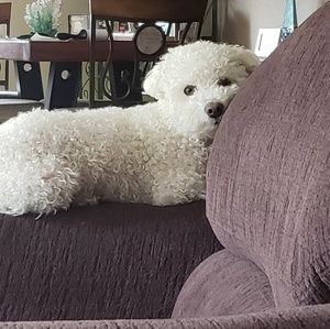 Meet your Posher, Renee